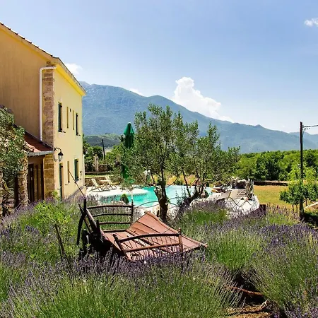 Villa Olka Prázdninový dům Grabovac (Split-Dalmatia)