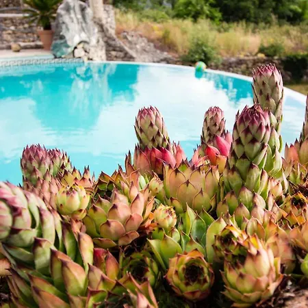 Villa Olka Prázdninový dům Grabovac (Split-Dalmatia)