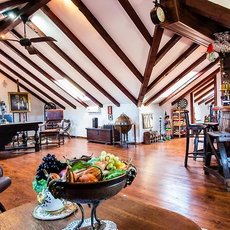 Prázdninový dům Villa Olka *